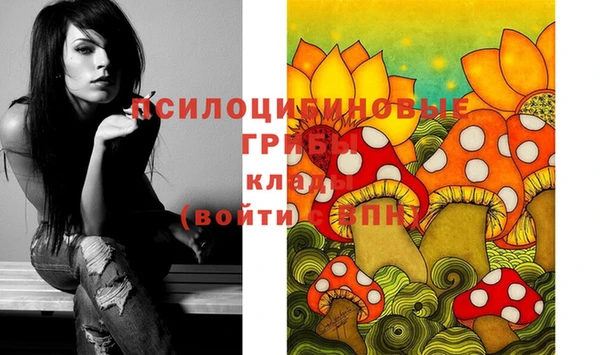 амфетамин Богданович