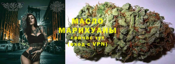 mix Богородицк