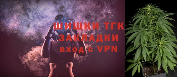 mix Богородицк