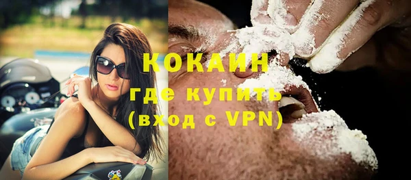 mix Богородицк